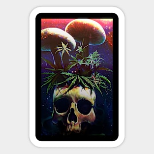 Psychedelic skull. head pot Sticker